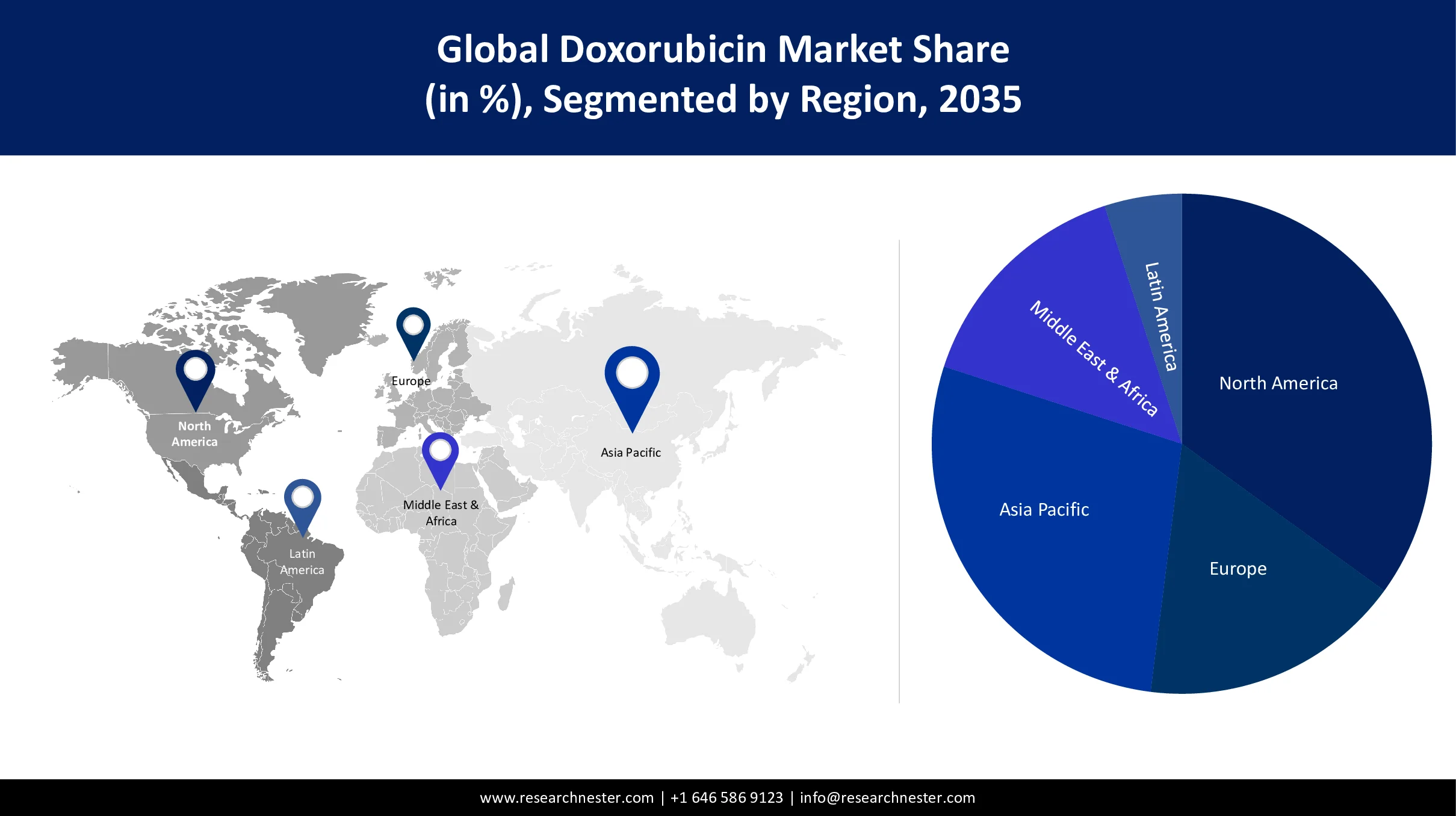 Doxorubicin Market Size